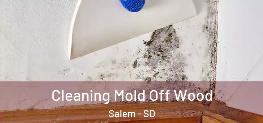 Cleaning Mold Off Wood Salem - SD