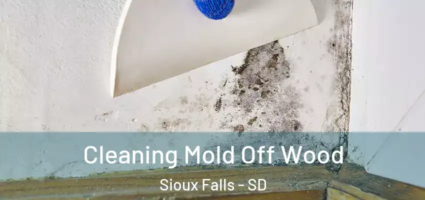  Cleaning Mold Off Wood Sioux Falls - SD