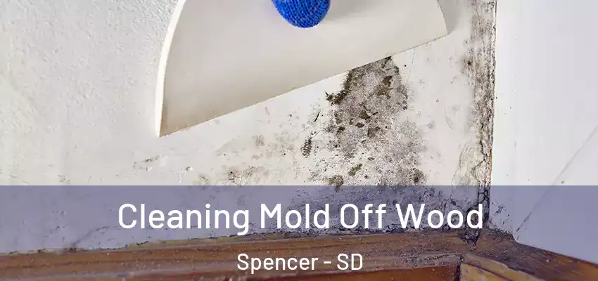  Cleaning Mold Off Wood Spencer - SD