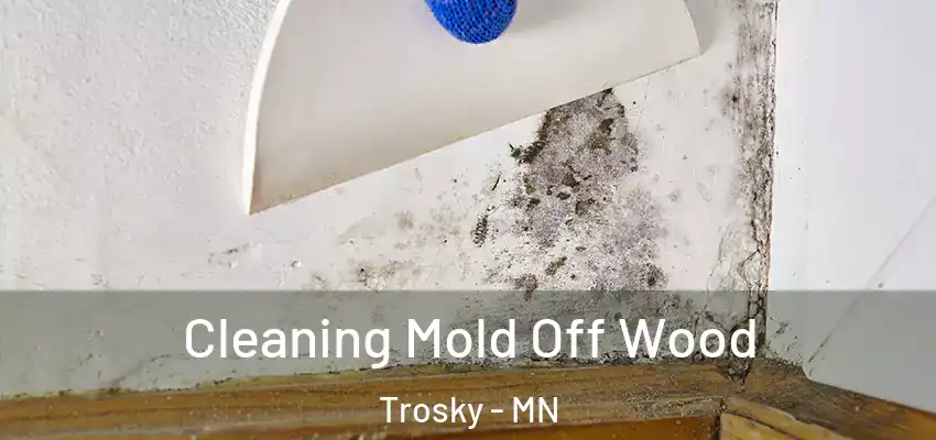 Cleaning Mold Off Wood Trosky - MN