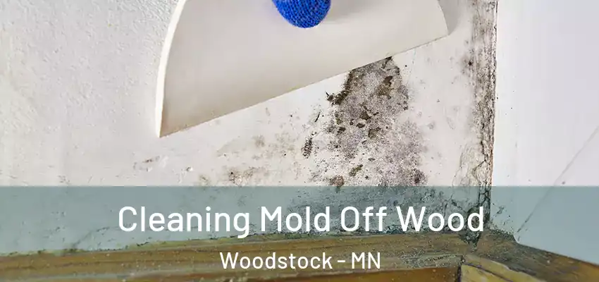 Cleaning Mold Off Wood Woodstock - MN