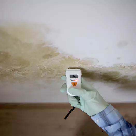 Reliable Mold Inspection Experts in Alexandria, SD