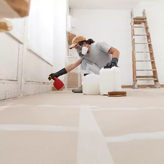 Reliable Mold Stain Remover Specialists in Alexandria, SD