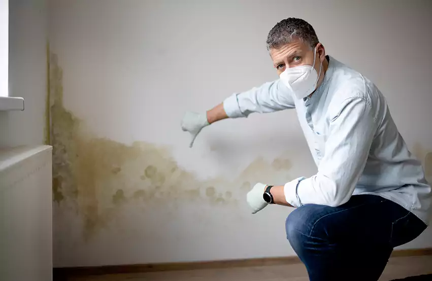 Mold Removal in Alexandria, SD