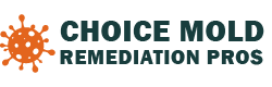 Choice Mold Remediation Pros
