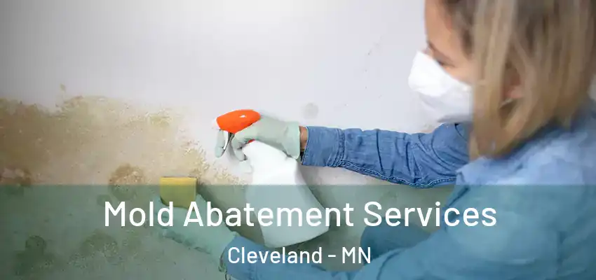  Mold Abatement Services Cleveland - MN