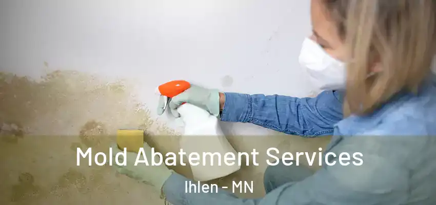  Mold Abatement Services Ihlen - MN