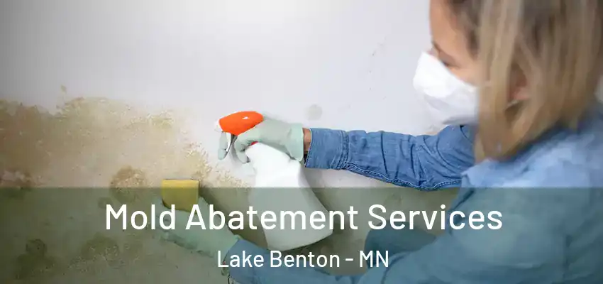  Mold Abatement Services Lake Benton - MN