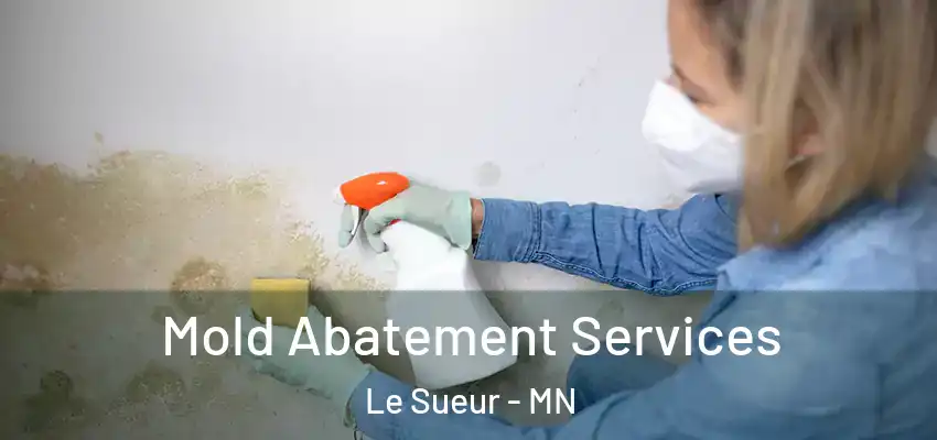  Mold Abatement Services Le Sueur - MN