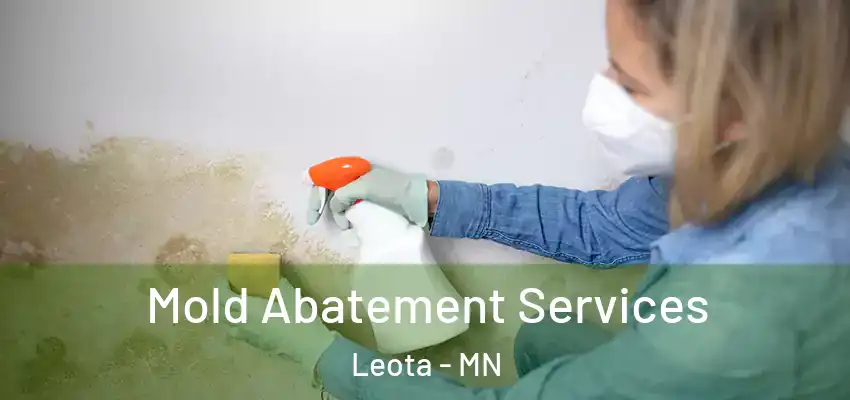  Mold Abatement Services Leota - MN