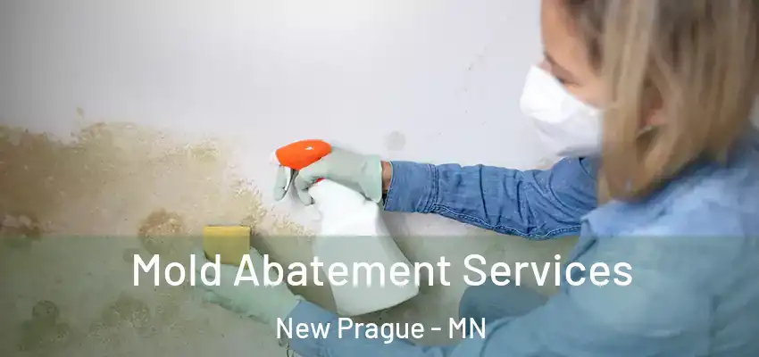  Mold Abatement Services New Prague - MN