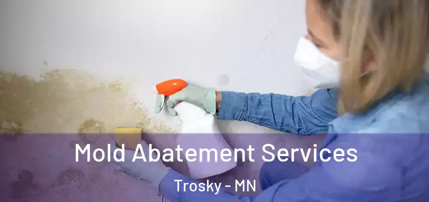  Mold Abatement Services Trosky - MN