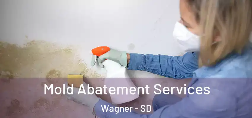  Mold Abatement Services Wagner - SD