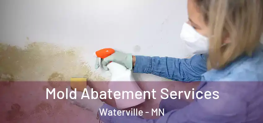  Mold Abatement Services Waterville - MN