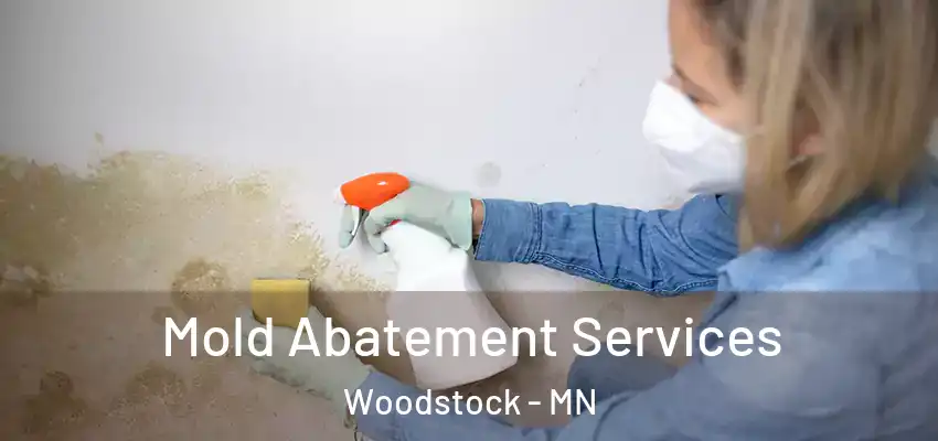 Mold Abatement Services Woodstock - MN
