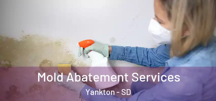  Mold Abatement Services Yankton - SD