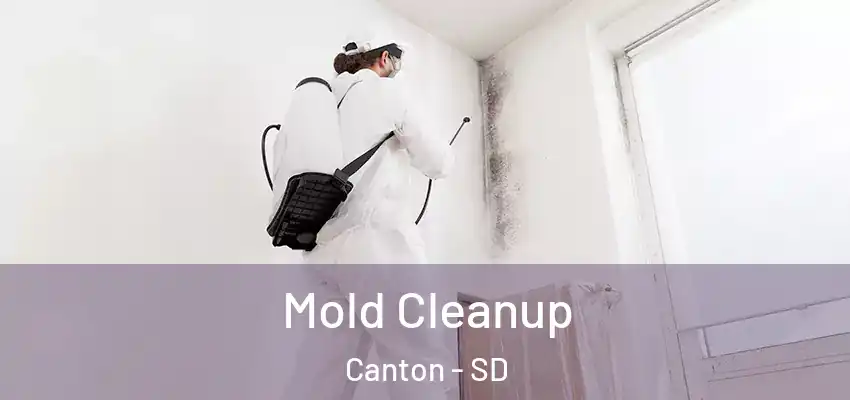  Mold Cleanup Canton - SD