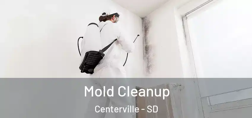 Mold Cleanup Centerville - SD