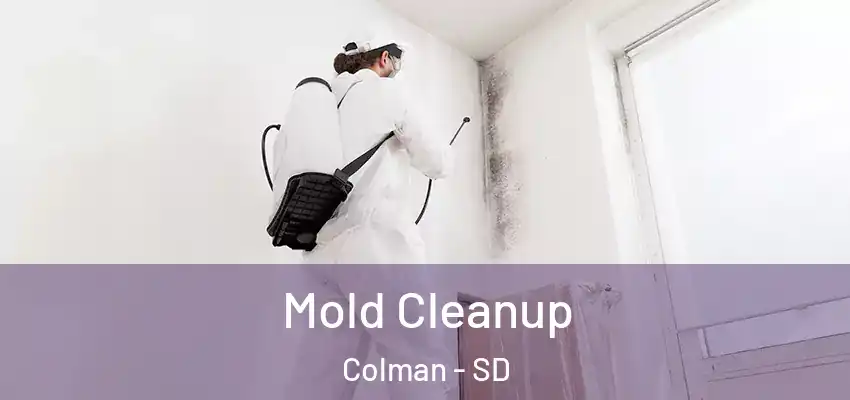 Mold Cleanup Colman - SD