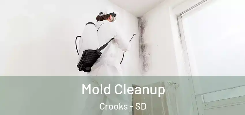 Mold Cleanup Crooks - SD