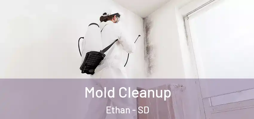  Mold Cleanup Ethan - SD