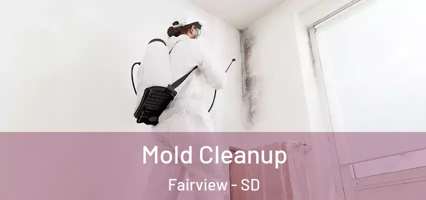 Mold Cleanup Fairview - SD