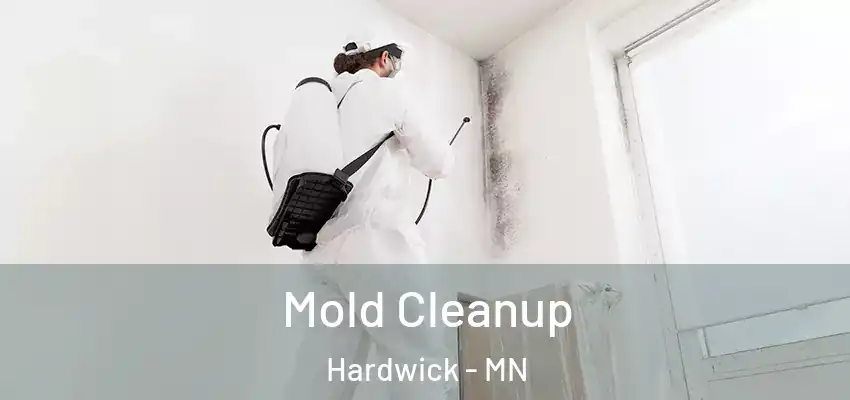 Mold Cleanup Hardwick - MN