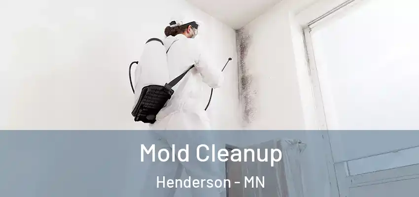  Mold Cleanup Henderson - MN
