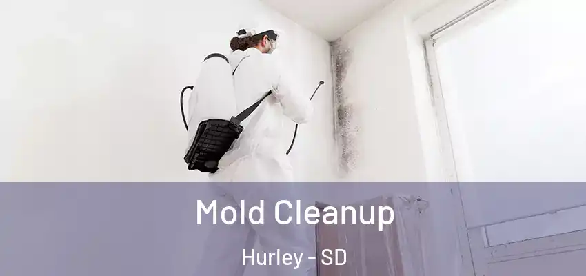  Mold Cleanup Hurley - SD