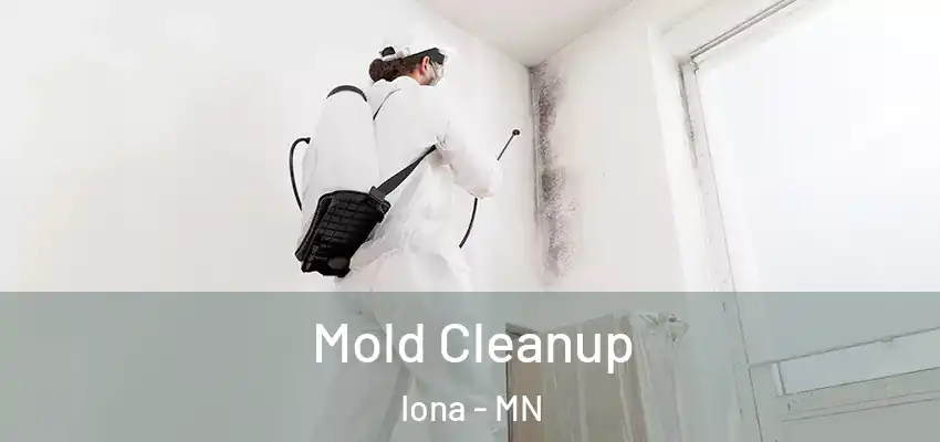  Mold Cleanup Iona - MN