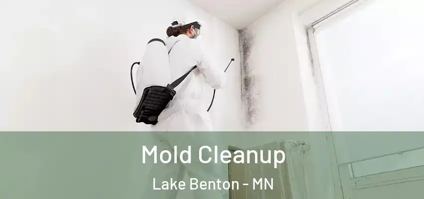  Mold Cleanup Lake Benton - MN