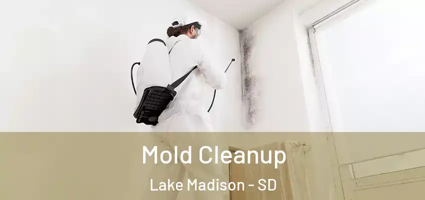  Mold Cleanup Lake Madison - SD