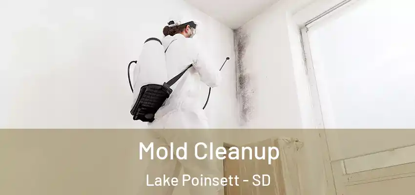  Mold Cleanup Lake Poinsett - SD