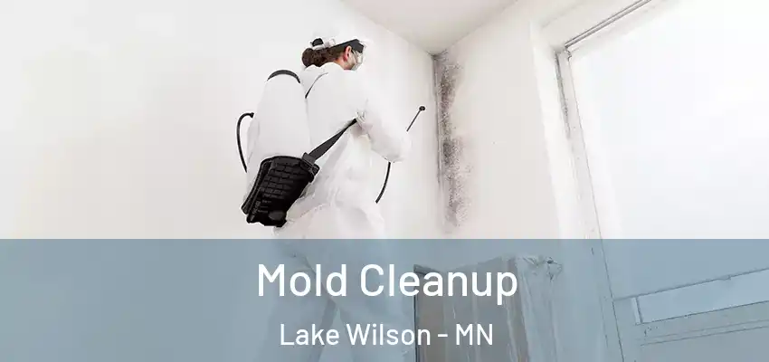  Mold Cleanup Lake Wilson - MN
