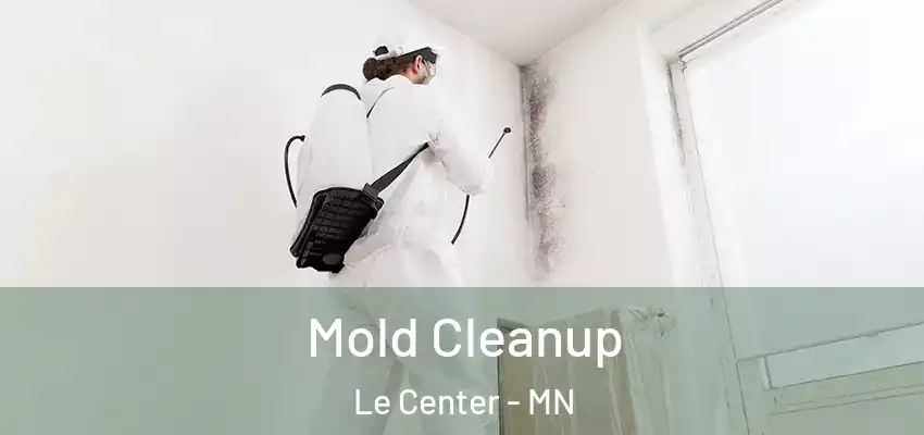  Mold Cleanup Le Center - MN