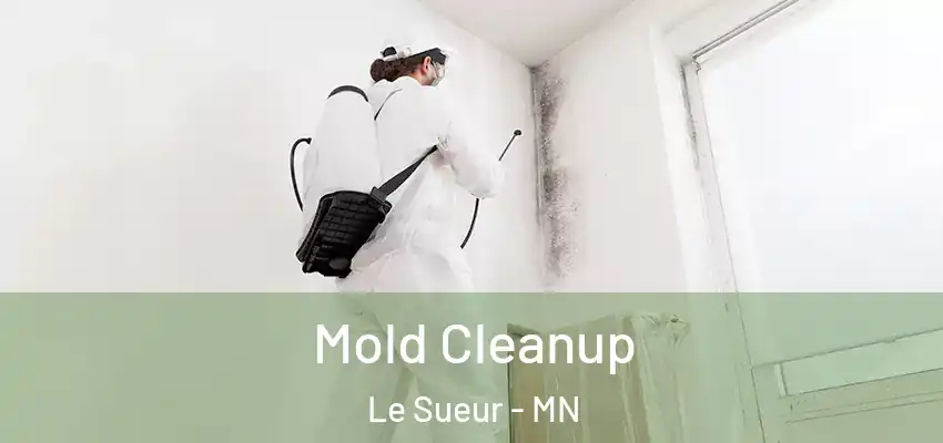  Mold Cleanup Le Sueur - MN