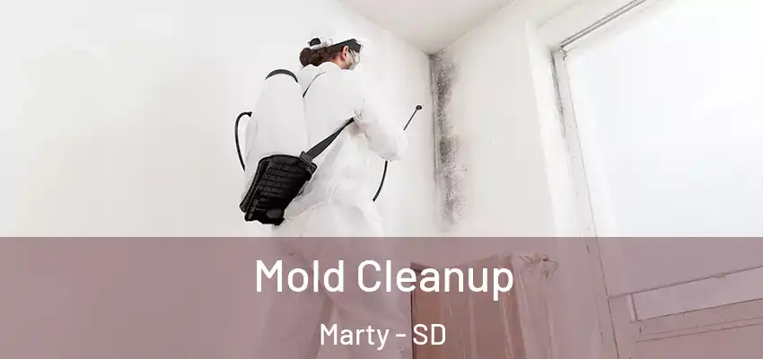  Mold Cleanup Marty - SD
