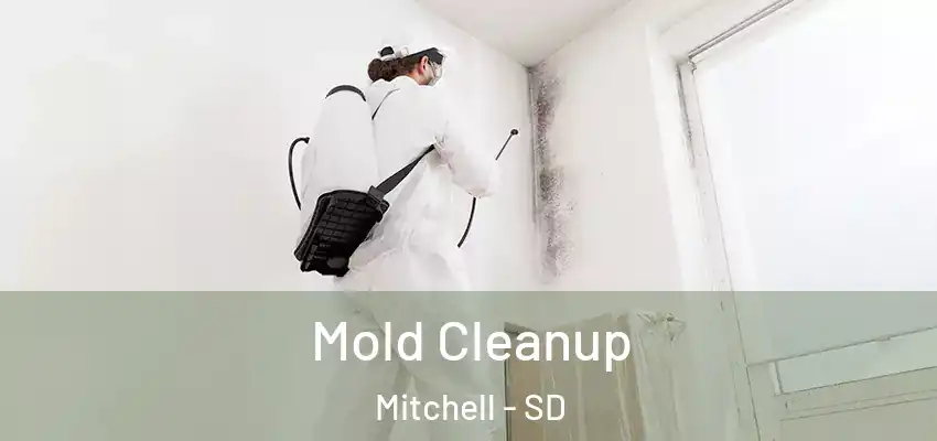 Mold Cleanup Mitchell - SD