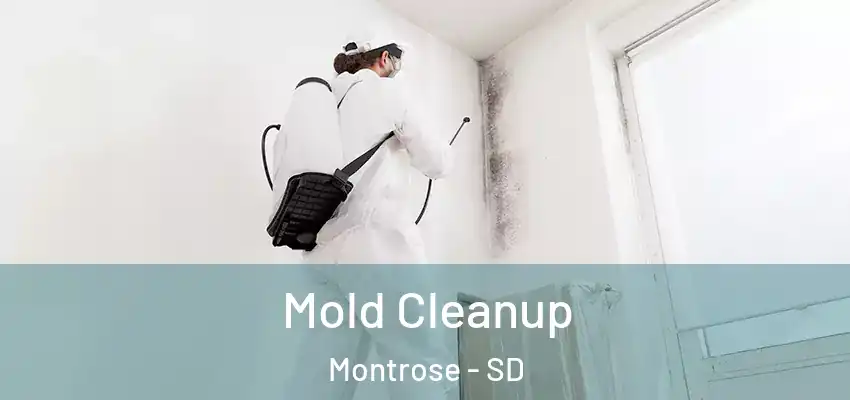  Mold Cleanup Montrose - SD