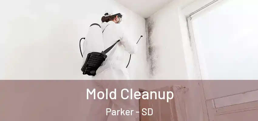  Mold Cleanup Parker - SD
