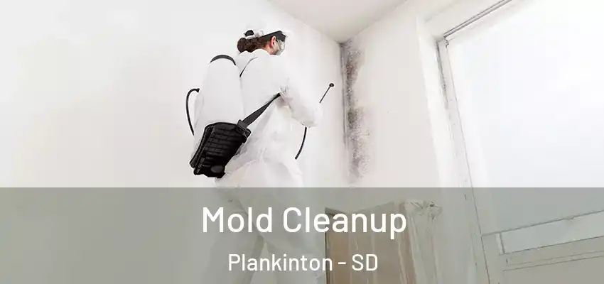  Mold Cleanup Plankinton - SD