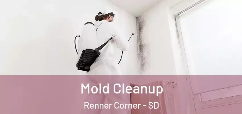  Mold Cleanup Renner Corner - SD