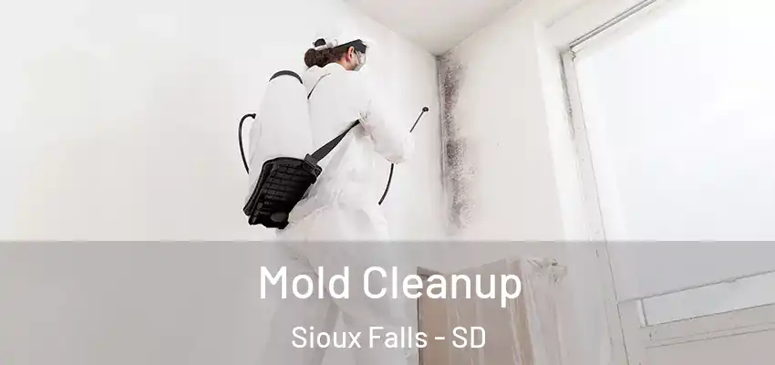 Mold Cleanup Sioux Falls - SD