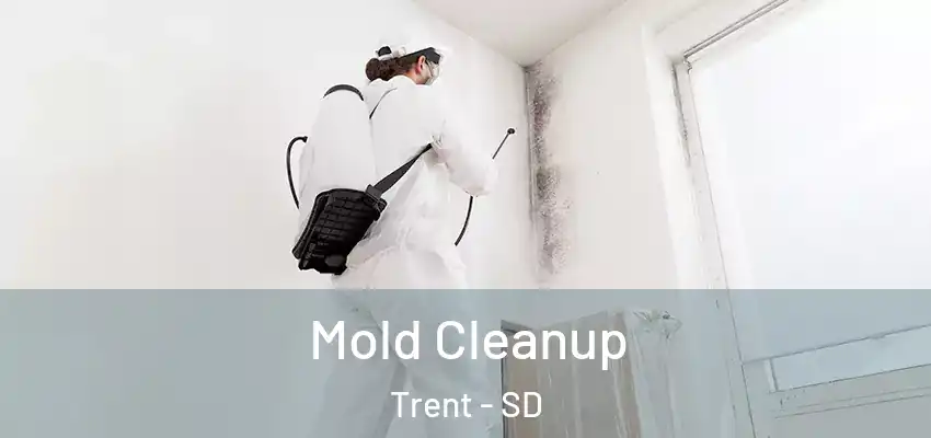 Mold Cleanup Trent - SD