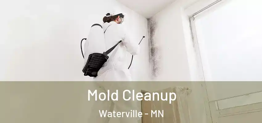  Mold Cleanup Waterville - MN