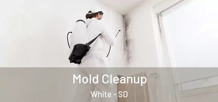  Mold Cleanup White - SD