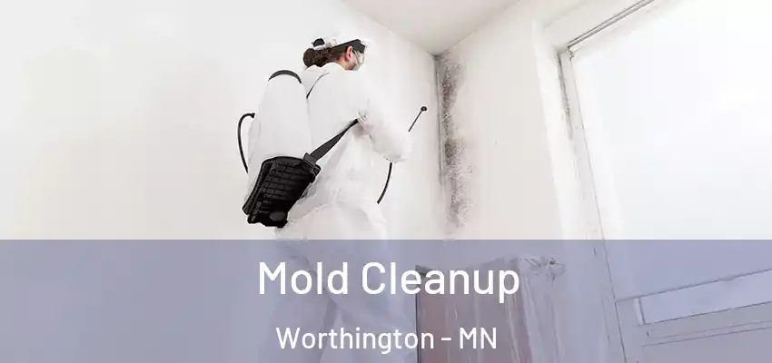  Mold Cleanup Worthington - MN
