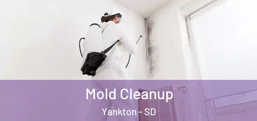 Mold Cleanup Yankton - SD