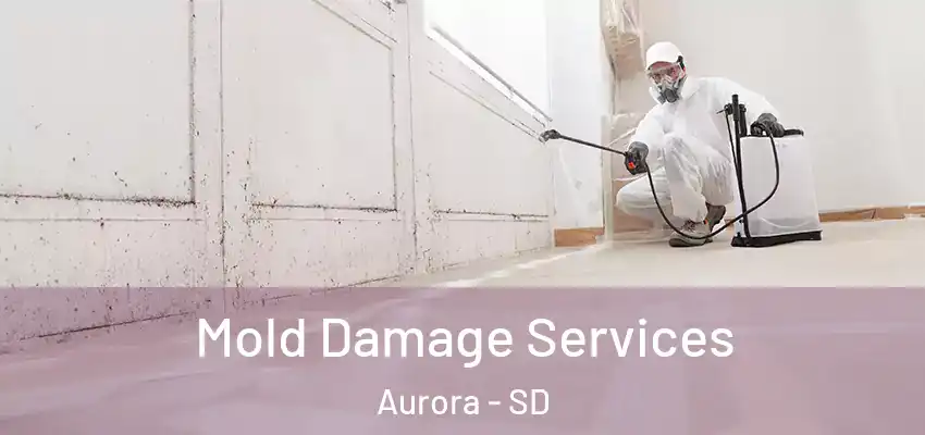  Mold Damage Services Aurora - SD
