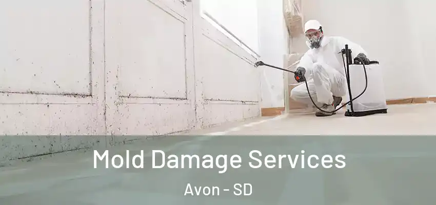 Mold Damage Services Avon - SD